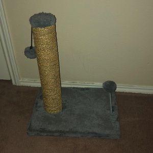 cats scratching post